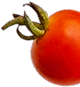 Spicy